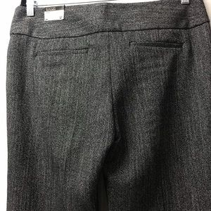 Express Editor Pants